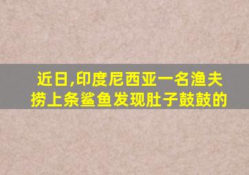 近日,印度尼西亚一名渔夫捞上条鲨鱼发现肚子鼓鼓的
