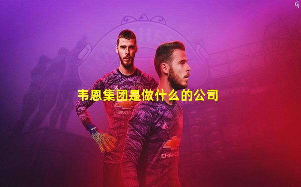 韦恩集团是做什么的公司