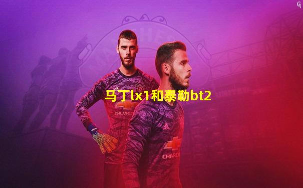 马丁lx1和泰勒bt2