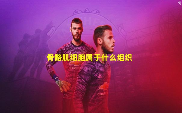 骨骼肌细胞属于什么组织