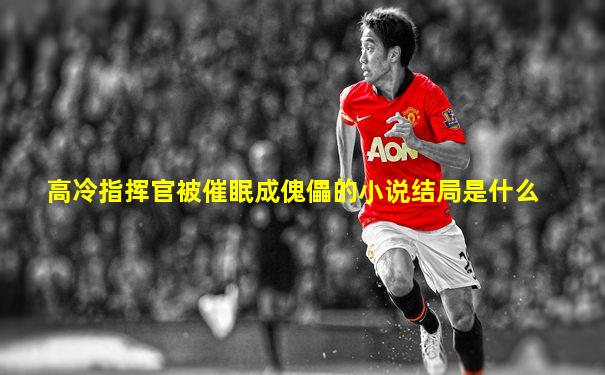 高冷指挥官被催眠成傀儡的小说结局是什么