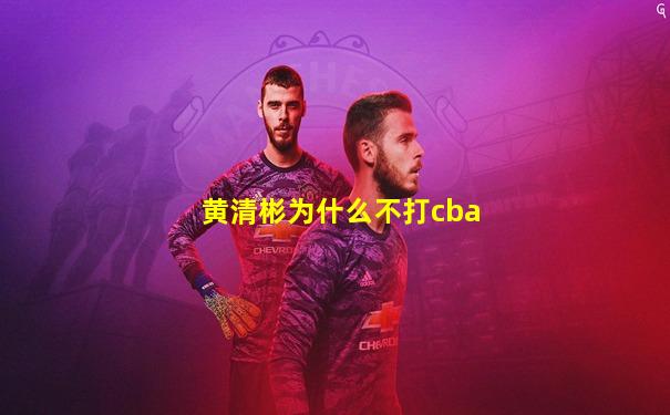 黄清彬为什么不打cba